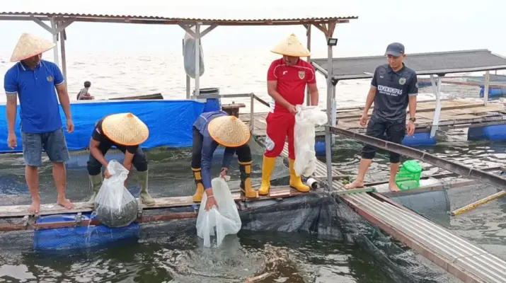 Rutan Maninjau Tebar 20 Ribu Bibit Ikan Nila, Perkuat Ketahanan Pangan dan Pembinaan Warga Binaan